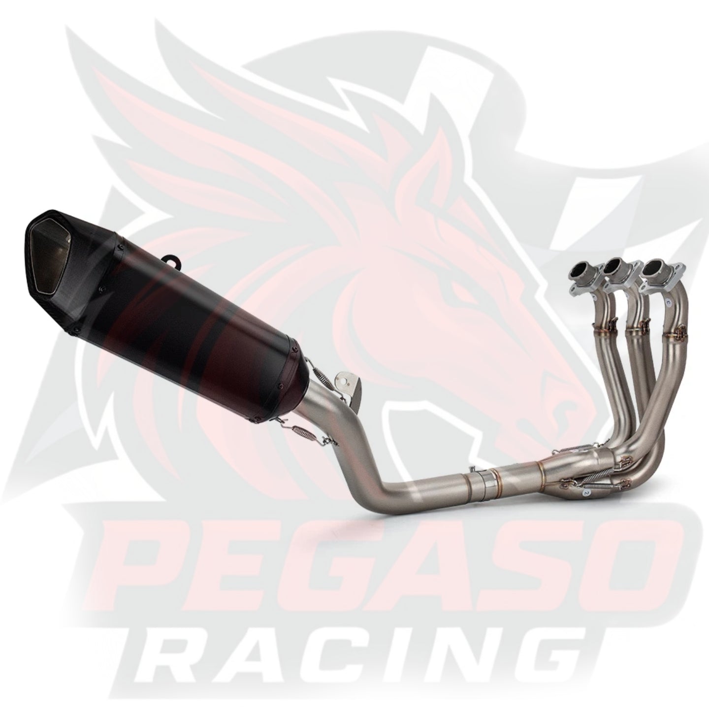 LINEA COMPLETA  TRIUMPH TRIDENT 660