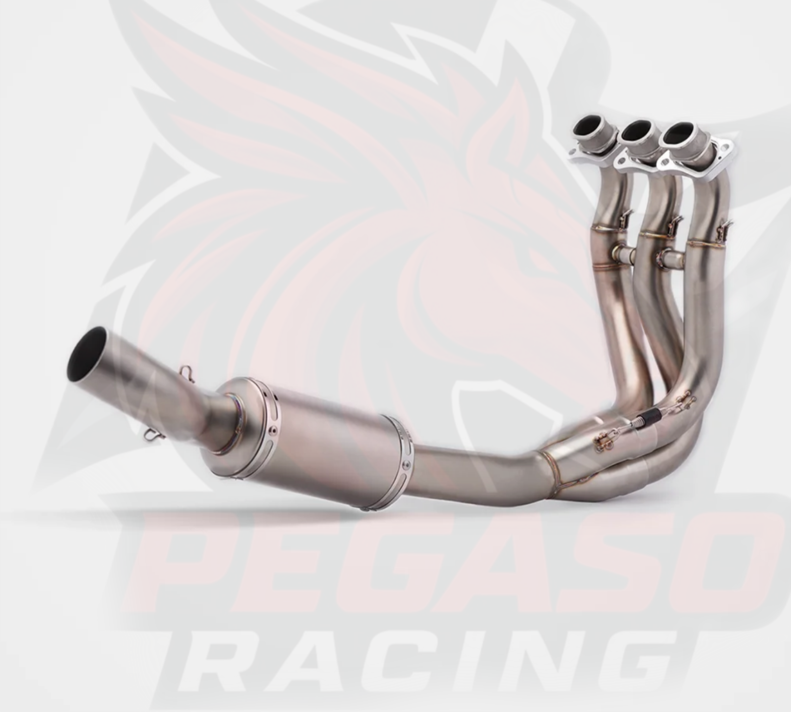 COLECTOR TRIUMPH STREET TRIPLE 765 RS 2025